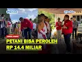 Download Lagu Rapidin Serahkan 6 Ton Bibit Jagung Unggul, Petani Bisa Peroleh Rp 14,4 Miliar