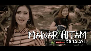 Download Dara Ayu - Mawar Hitam (Official Reggae Version) MP3