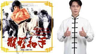 ثعبان في ظل القرد جوهرة الكونغ فو التي تحدت جاكي شان 猴形扣手 1979 