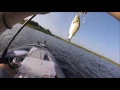 Fishing Back Bay Virginia