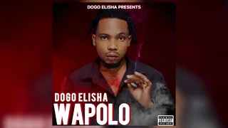 dogo elisha wapolo show live