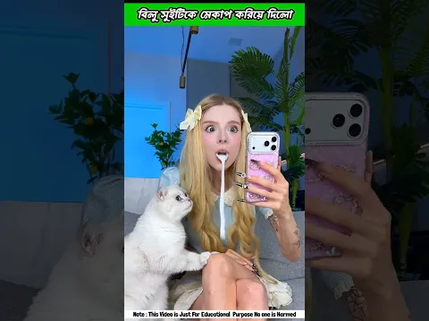 Billo Suitike Boka Baniyea Mekup koraloš±š«¢ #shorts #funny #cat #ytshorts