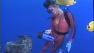 hot tight wetsuit girl diving wetsuit scuba