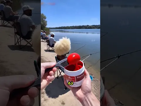 ينهار! إنتي بتحطي كاتشاب على شعري وبوظتيهولي ليه؟😱💇‍♂️🔥