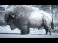 Rdr2 How to Hunt The Legendary White Bison