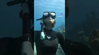 #diving #freediving #ocean #sailboat #travel