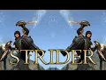 Dragon s Dogma Class Guide STRIDER