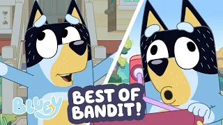Best of Bandit Father s Day Fun with Bluey Bluey