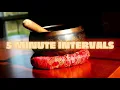 Tibetan Singing Bowl 5 Minute Intervals Meditation Timer