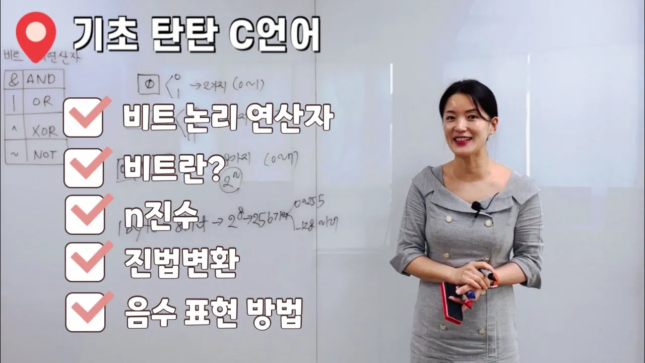 비트 연산자(AND, OR, XOR, NOT) | 음수 표현 방법 | 2의 보수 | 진수 변환  | 비트란?