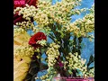 ススム・ヨコタ / Susumu Yokota - Blue Sky and Yellow Sunflower (SVIII Remix)