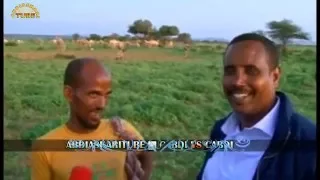 Madaxwayne Cabdi Maxamuud Cumar Geelijire Maxaa Kala Qabsaday Adigaa Miyaa Madaxweynahayaga 