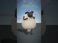 Download Lagu Shaun the Sheep Characters Size Comparison | Smallest to Largest #shaunthesheep  #animation