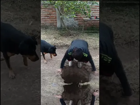 Encontré un Túnel abandonado que oculta una piscina #piscinas