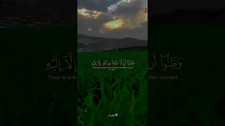 حتى اذا ضاقت عليهم الارض بما رحبت وضاقت عليهم انفسهم منصور السالمي 