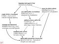 OCapN Agoric Layers and Orders