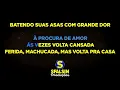 AS ANDORINHAS - Trio Parada Dura (KARAOKÊ VERSION)