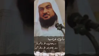 تريد تغرس اشجار في الجنة Explore  تريد تغرس اشجار في الجنة Explore