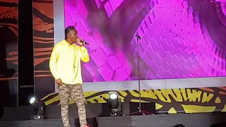 vector performs at the afrima 2017
