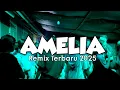 Download Lagu AMELIA REMIX - RIZAL RMXR 2025