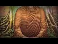 Download Lagu Buddha Amritwani Dj Jidnesh Remix