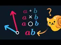 Why can t you multiply vectors