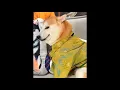 Dogesh side eye view meme