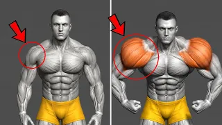 Build Rounder 3D Shoulders — 5 Exercises for More Width & Detail