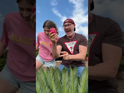 Como fazer Squishy com Pitaya 😲🐉
