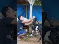 Download Lagu Yang masih takut pakai fastac membasmi kutu pada kambing #videoshorts #kambing #akmalfarm99