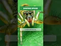 Harmless or Dangerous Identify 6 Common Spiders Their Threat Levels