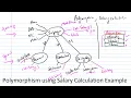 Polymorphism using an example of Employee Salary calculation