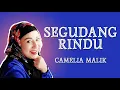 Download Lagu CAMELIA MALIK - SEGUDANG RINDU || DANGDUT POPULER || TBMusic II