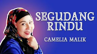 Download CAMELIA MALIK - SEGUDANG RINDU || DANGDUT POPULER || TBMusic II MP3