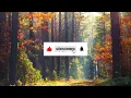 Unplug and Unwind: A 1 Hour Acoustic Chill Playlist for Relaxation