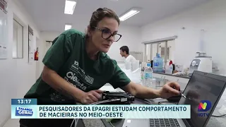 Epagri desenvolve método para identificar doenças em plantas antecipadamente