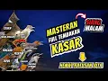 Download Lagu Masteran Full Tembakan Kasar Siang dan Malam - Hemat Ratusan Juta