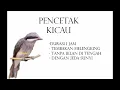 Lagu Masteran Burung Jinjing Petulak tembakan melengking