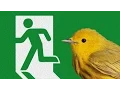 40xEscape - Level 1-40 Quick Walkthrough