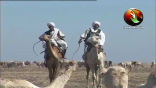 مسلسل دكين الحلقة الثانية عشر 