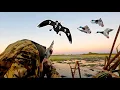 ONCE in a LIFETIME Duck hunting a WISCONSIN MARSH