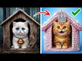 Lagu Cat Lovers 🐱🌟 Easy DIY Care Hacks \u0026 Cool Gadgets for Happy Cats by Meow-some! Live