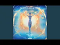 Download Lagu Melting (Orchestral VIP)