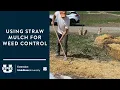 Using Straw Mulch for Weed Control