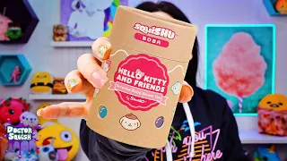 SANRIO Squishy Blind Capsules! Boba and Lattes