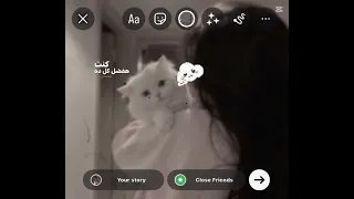 مين اللي قالك أن الحياه وقفت في يوم علي اللي راحو         عمرو دياب  دندنها