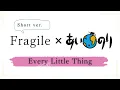 Every Little Thing / fragile（あいのりOP version）