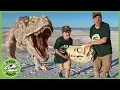 Download Lagu Giant T-Rex Dinosaur vs Park Rangers! Pretend Play Escape Adventure with Dinosaurs Toys for Kids