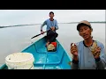 Download Lagu SARANG UDANG BESAR TERNYATA DI BAWAH POHON NIPAH.