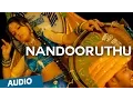 Download Lagu Nandooruthu Official Full Song (Audio) | Nedunchalai